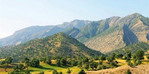 اسلام آباد غرب، پایتخت جنگل های بلوط ایران