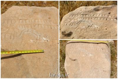 کشف سنگ نگاره قبل از تاریخ در کازرون