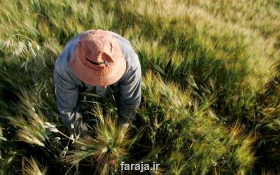 380 رویداد گردشگری کشاورزی از شروع سال اجرا شد