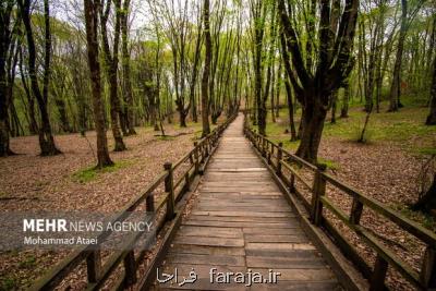 میراث طبیعی مدنظر قانون گذار نیست