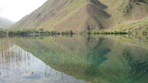 گهر بی سامان