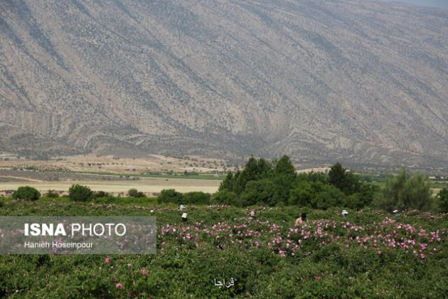 هشت اردیبهشت روز میمند شد