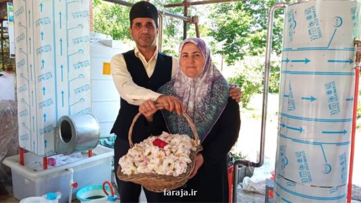 روستای گیلده میزبان روز ملی گل محمدی