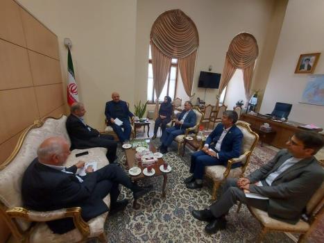 امکان ورود خودرو مسافران خارجی به کشور