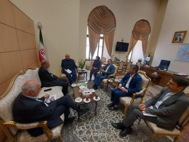 امکان ورود خودرو مسافران خارجی به کشور
