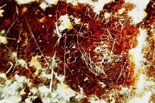 کشف نگاره سوزنی یکی از شاهان ساسانی در صخره های شهر استخر فارس