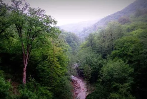 برند گردشگری گلستان در سطح ملی و بین المللی چیست؟