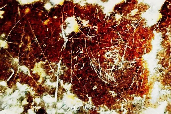 کشف نگاره سوزنی یکی از شاهان ساسانی در صخره های شهر استخر فارس