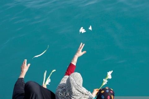 محل سقوط هواپیمای مسافربری ۶۵۵ گلباران شد