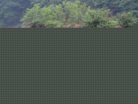 باغ عباس آباد برای بازدید نوروزی آماده می شود