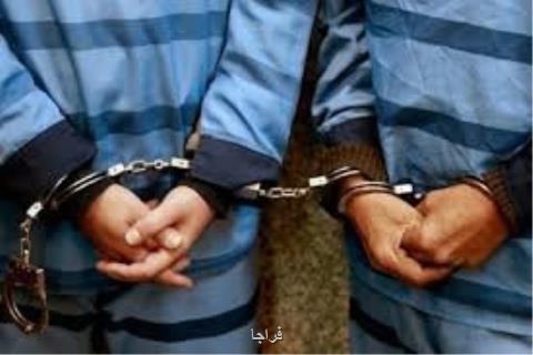 دستگیری 7 متهم در رابطه با جرایم میراث فرهنگی در استان كرمان