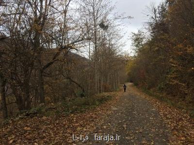 برگزاری نشست مشترك شورای راهبری میراث جهانی هیركانی و مشاور جهانی