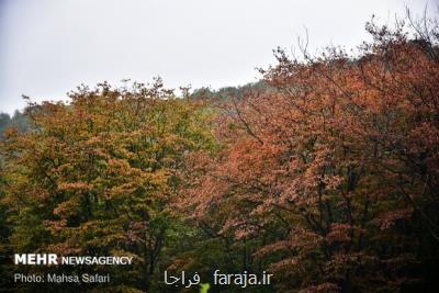 سند تنظیمی طرح ساماندهی گردشگری جنگل ها و سواحل كشور بررسی گردید