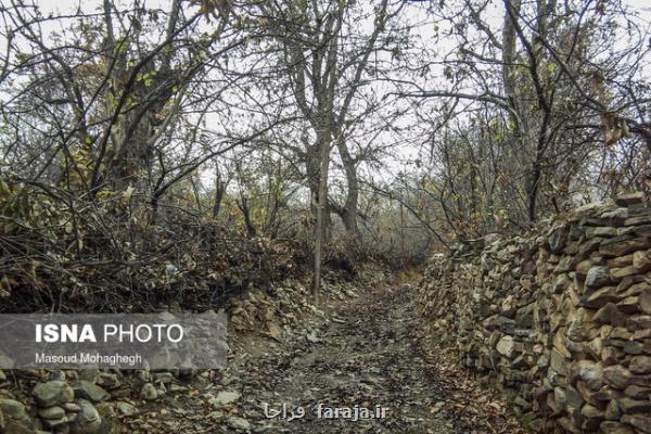 بسترسازی برای رونق گردشگری كشاورزی در استان سمنان
