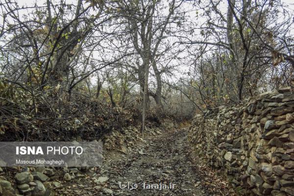 بسترسازی برای رونق گردشگری كشاورزی در استان سمنان